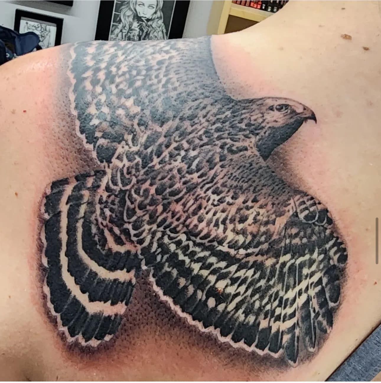 Large black-and-gray bird tattoo on a person's upper back and shoulder