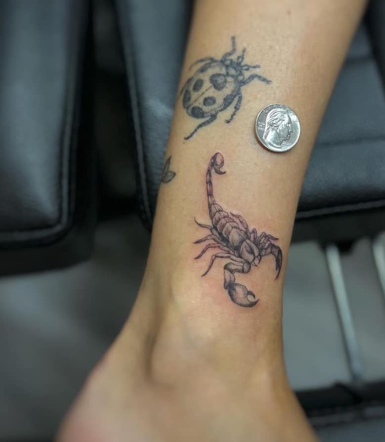 Lower leg with two scorpion tattoos and a silver coin placed between them
