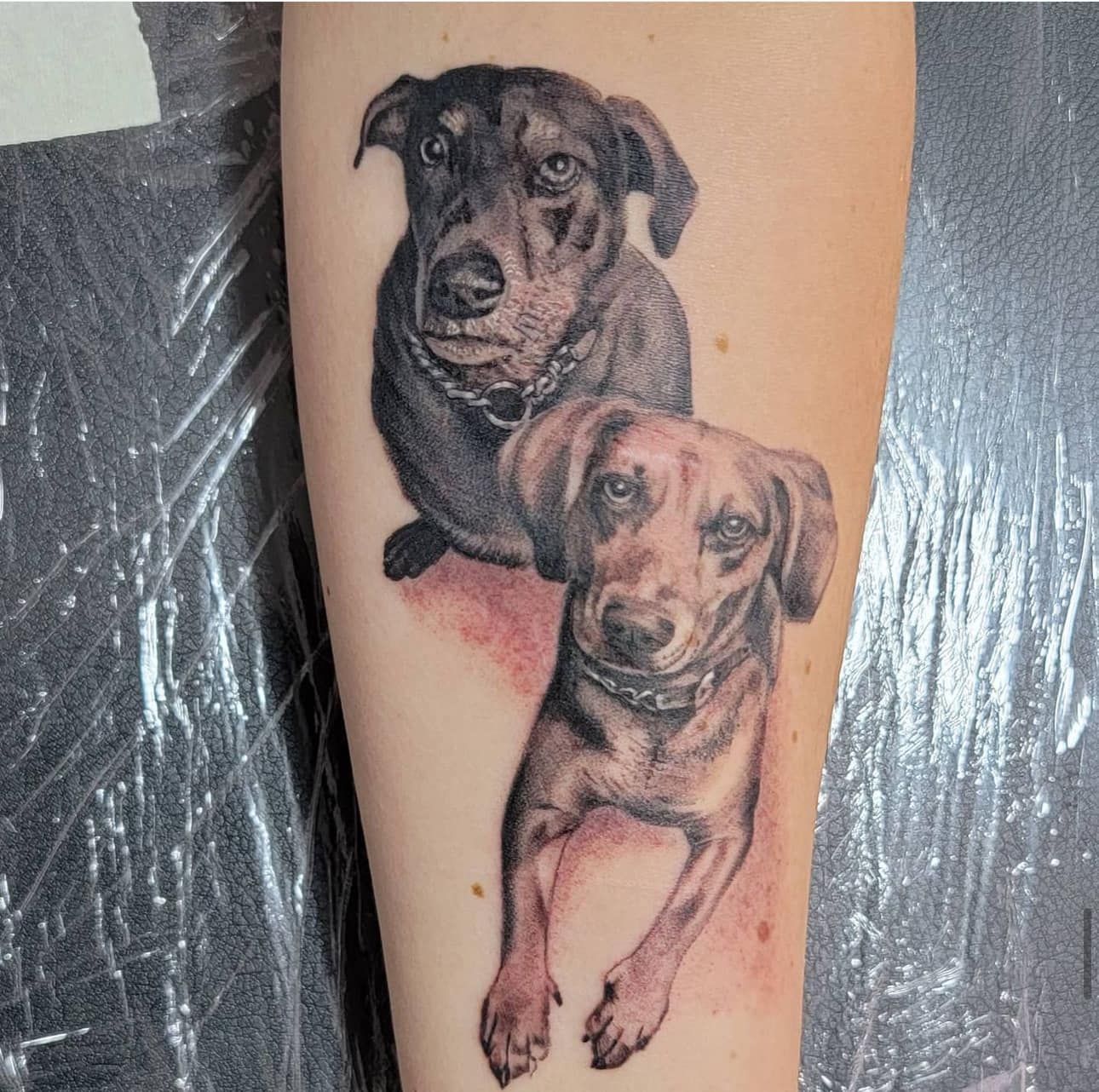 Two realistic dog tattoos on a forearm, one black and one tan, with a reddish healed area below.