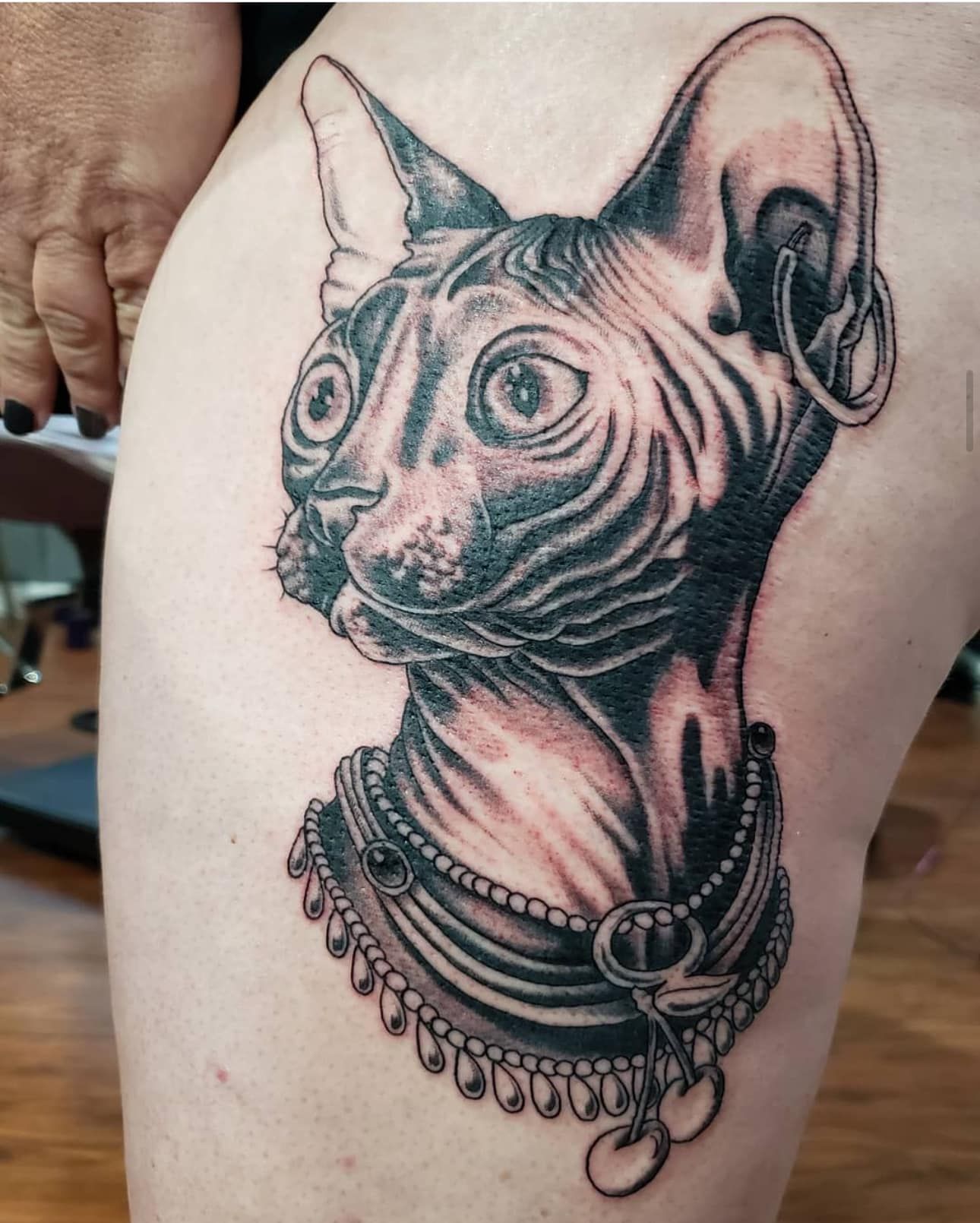 Black-and-gray tattoo of a hairless cat with large eyes and ornate jewelry on skin