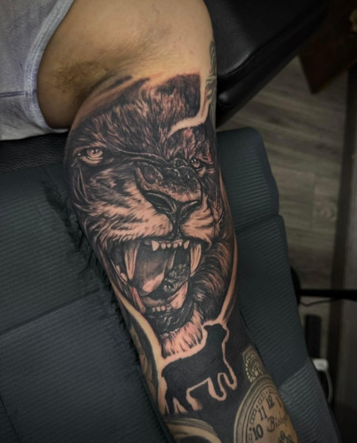 Tattooed calf with a large roaring lion in black and gray ink on a seated leg