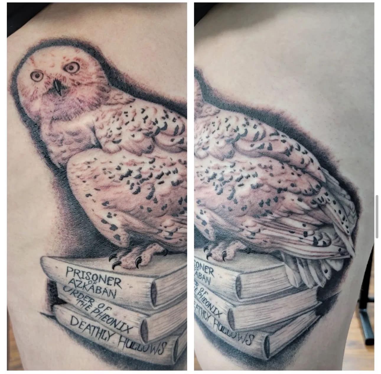 Black-and-gray tattoo of a snowy owl perched on stacked books on a person’s forearm