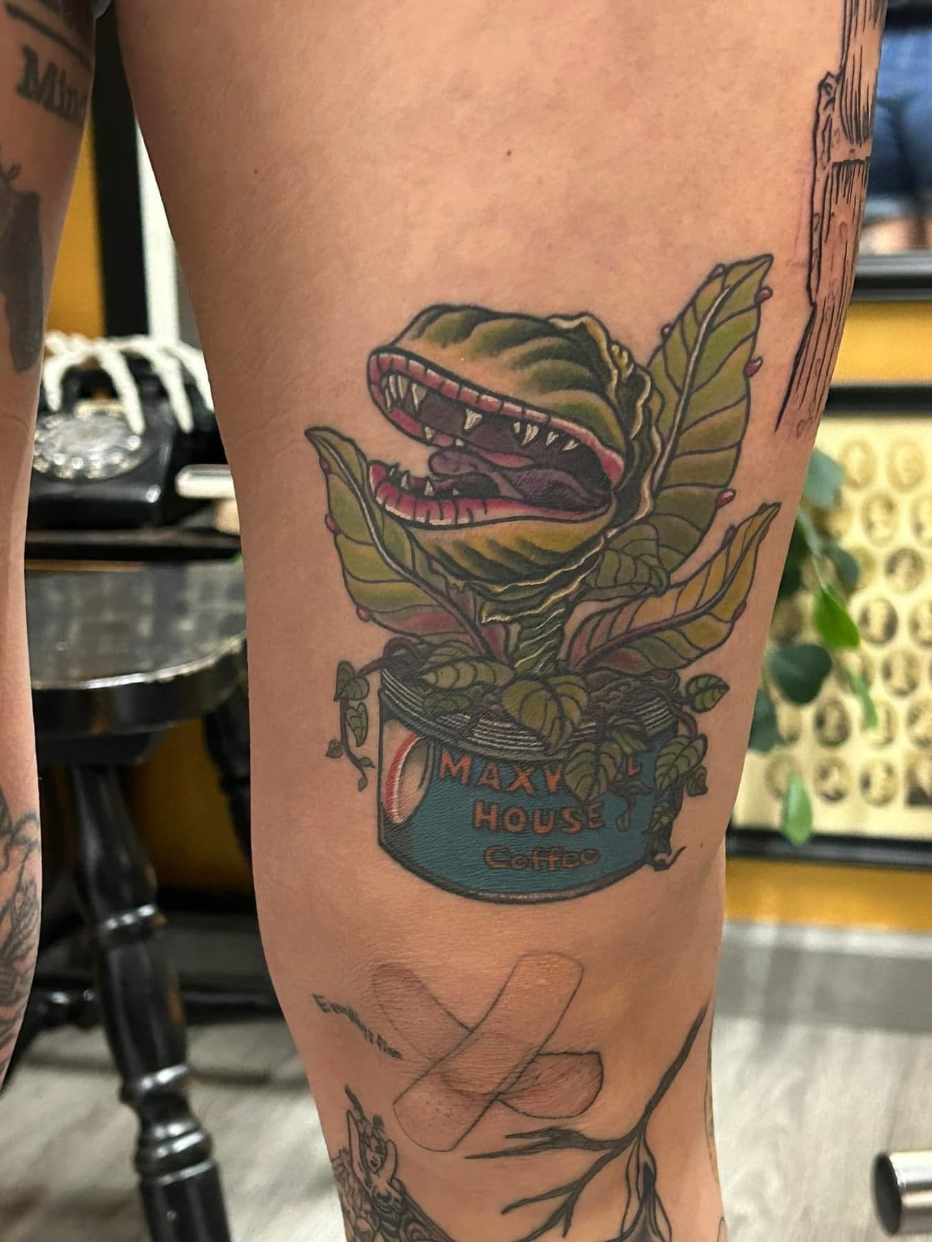 Close-up of a leg tattoo featuring a green Venus flytrap in a blue pot with visible line art below