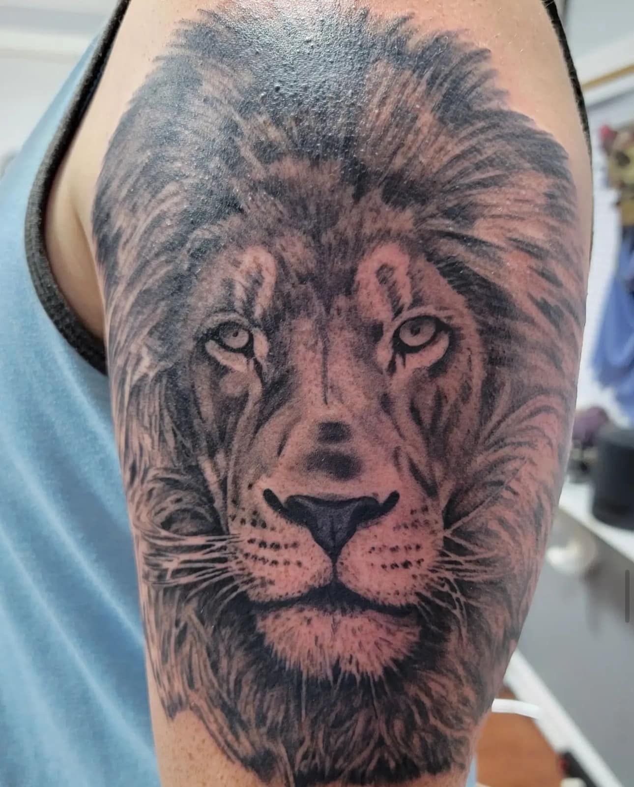 Lion tattoo on a person’s upper arm, black and gray with detailed mane and face.
