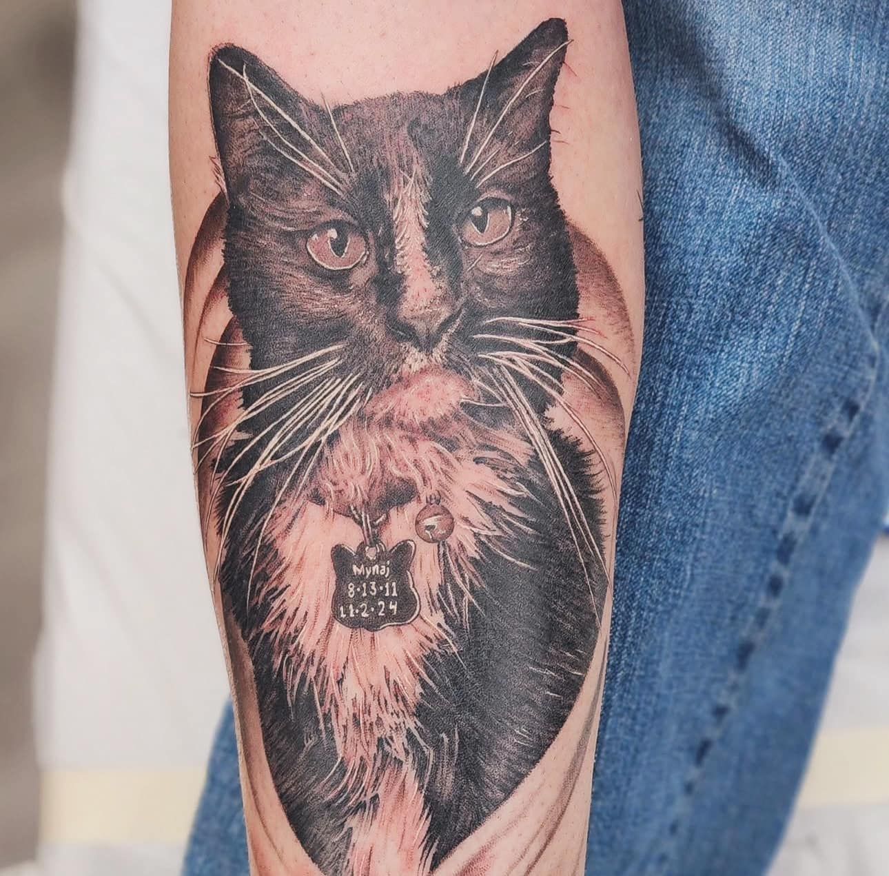 Black cat tattoo on a person’s leg, with a collar tag and white chest fur details.