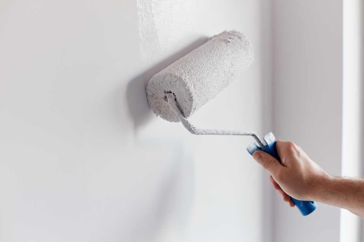 Painting primer on the walls