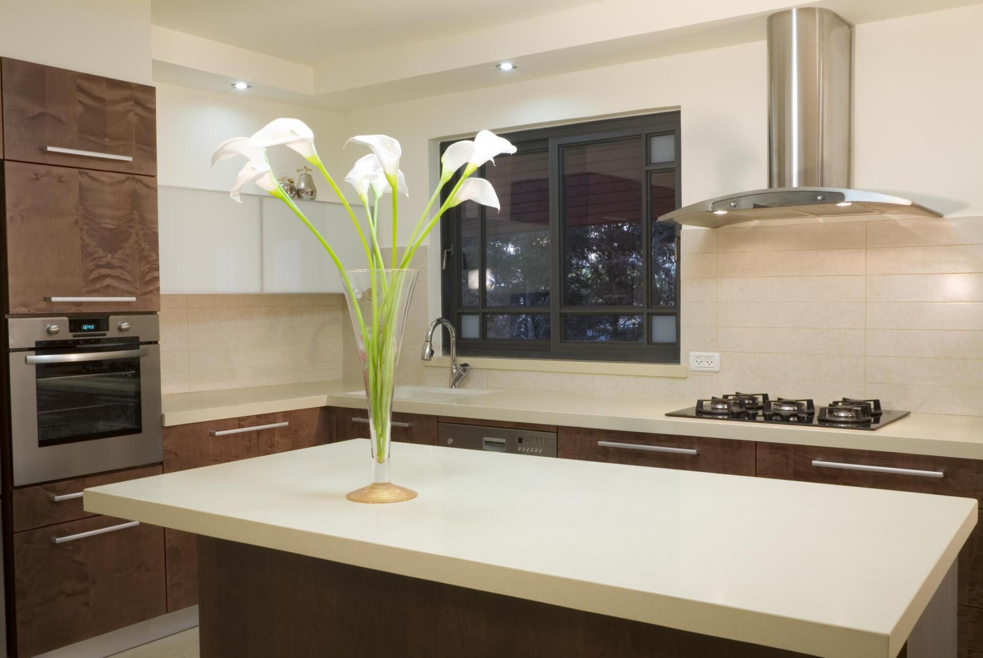 kitchen with oven hood
