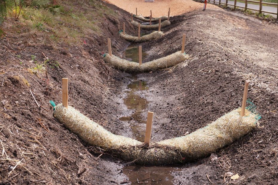 Erosion control log barriers lining a muddy drainage ditch beside a dirt path