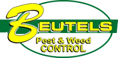 Pest Control Service in Maitland