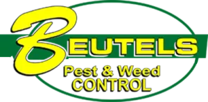 Pest Control Service in Maitland