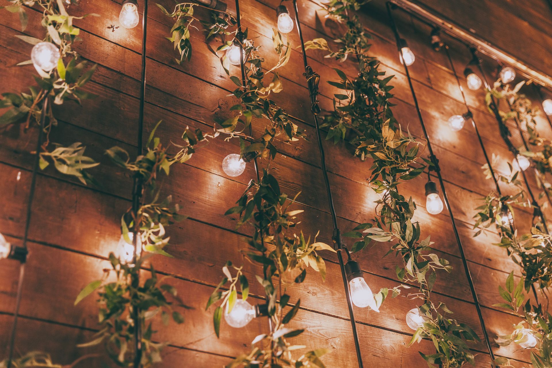 Warm string lights draped over a wooden wall with trailing green vines and leaves