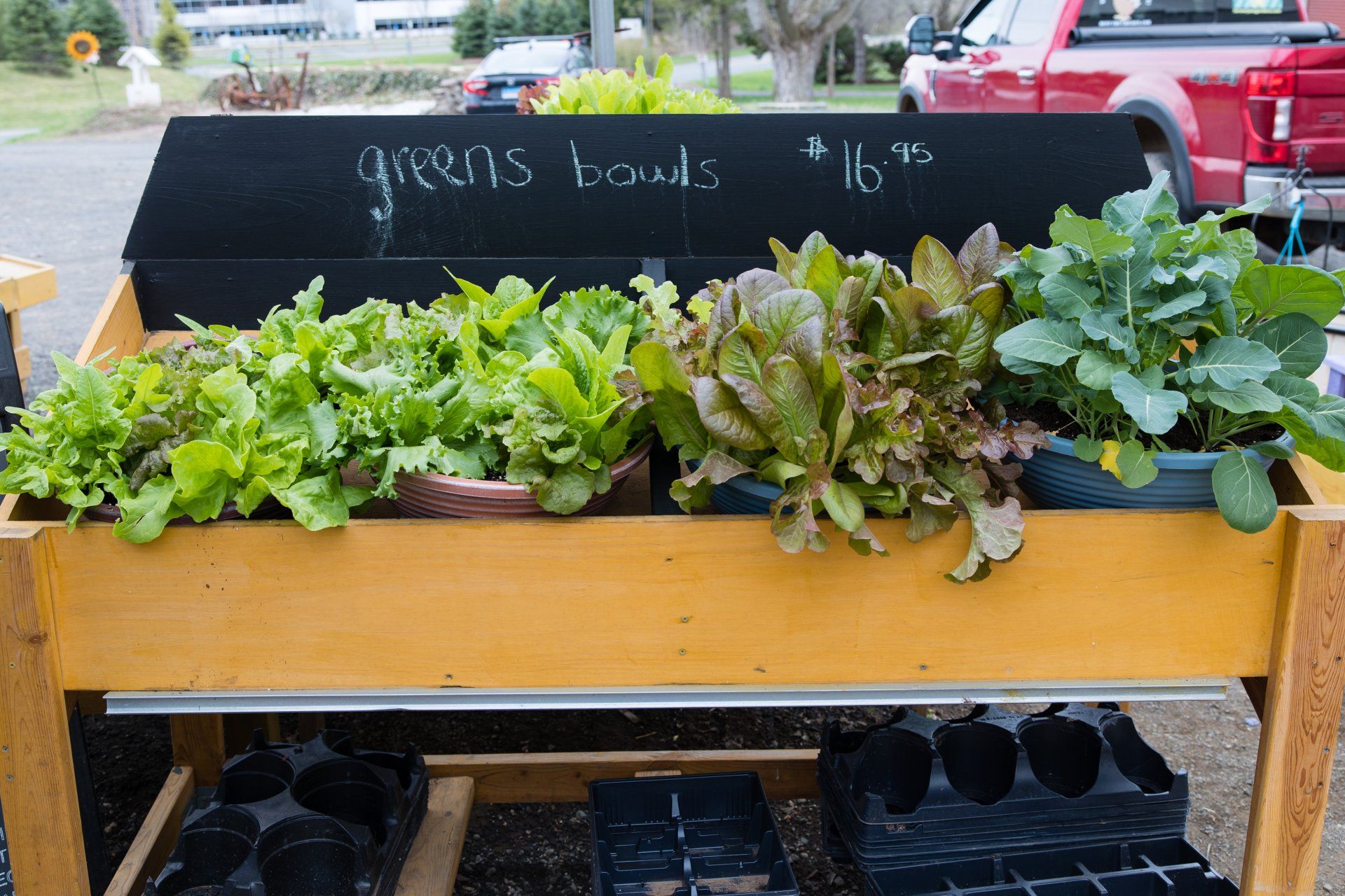 Herbs and leafy greens in a wooden market display with a chalkboard sign reading “greens bundle $1.75”