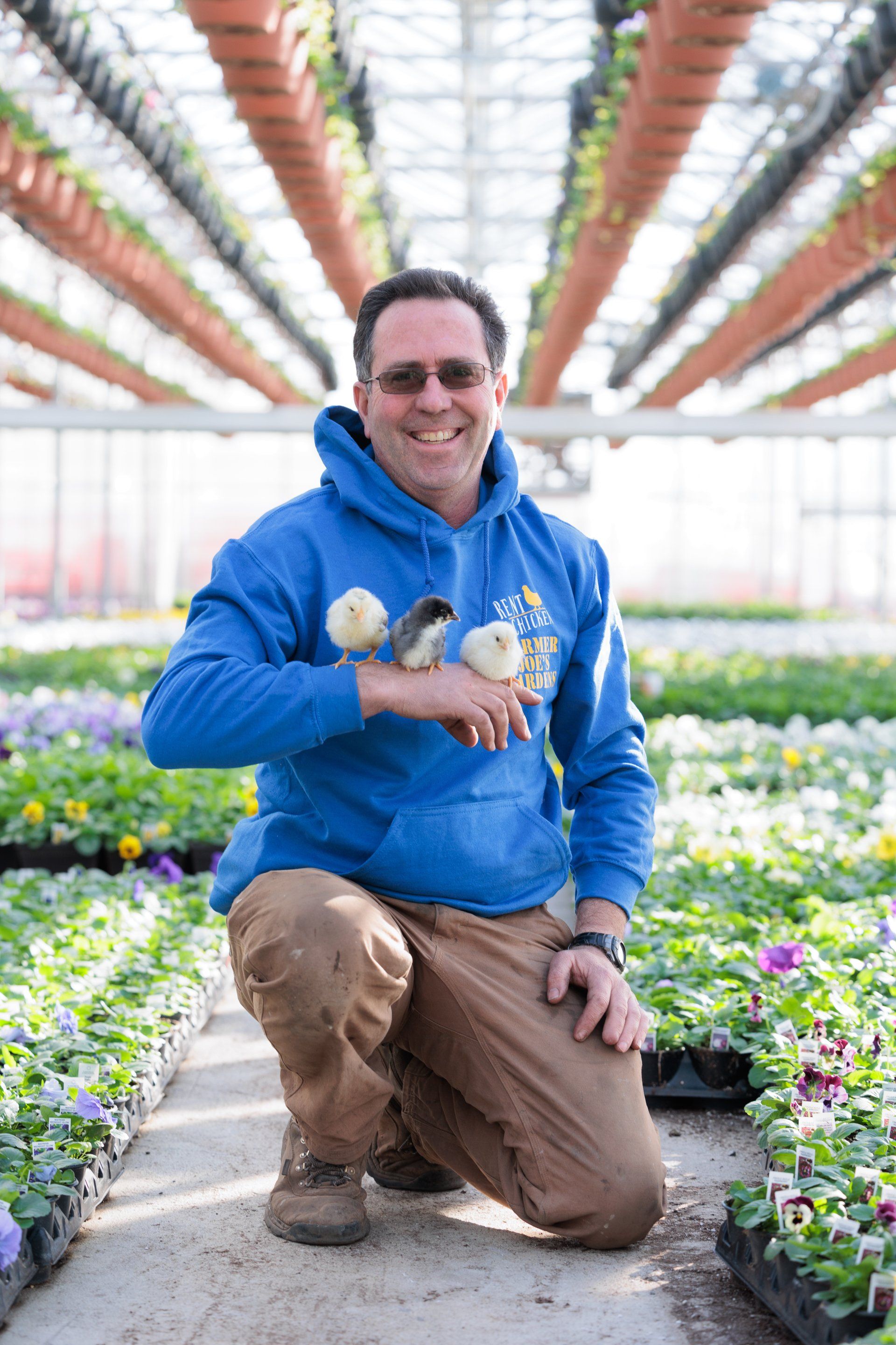 Man kneeling in a greenhouse, holding a small plant among rows of flowers