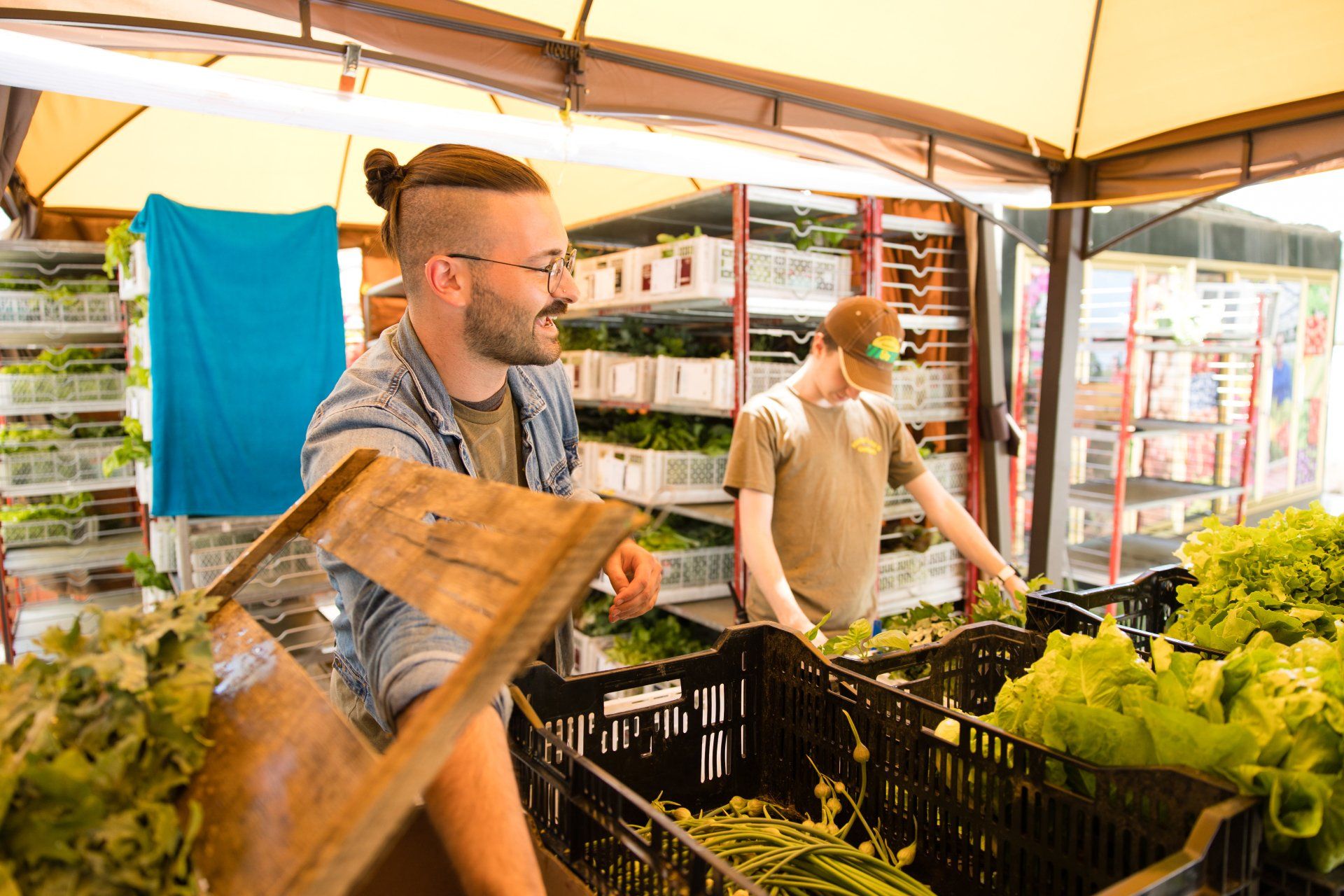 Two people sorting fresh produce at a market stall under a canopy