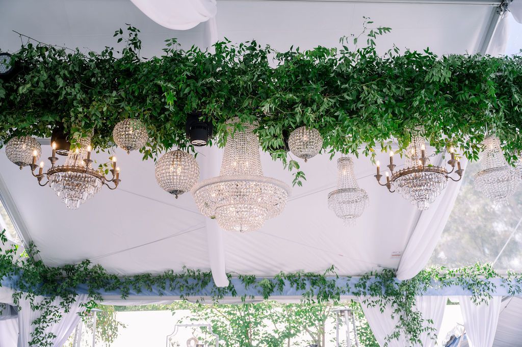 Green hanging foliage and crystal chandeliers decorating a bright white tent ceiling