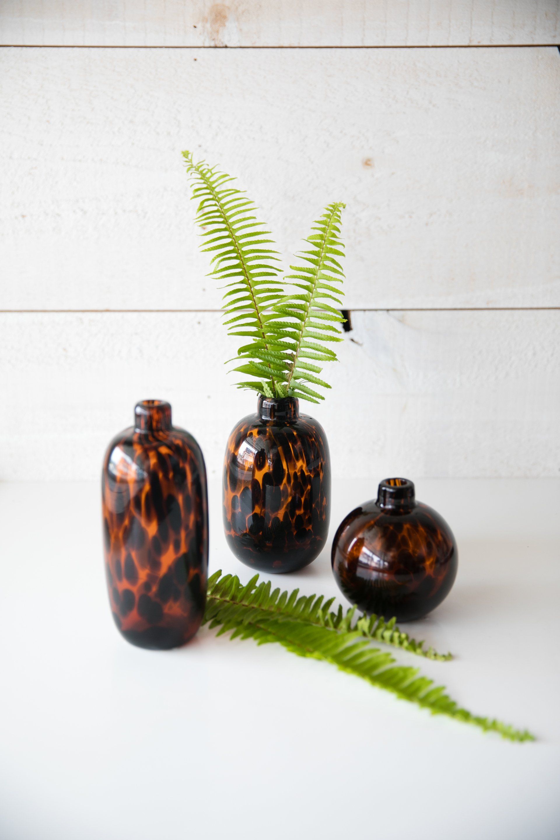 Three tortoiseshell glass vases with green fern fronds on a white wooden surface