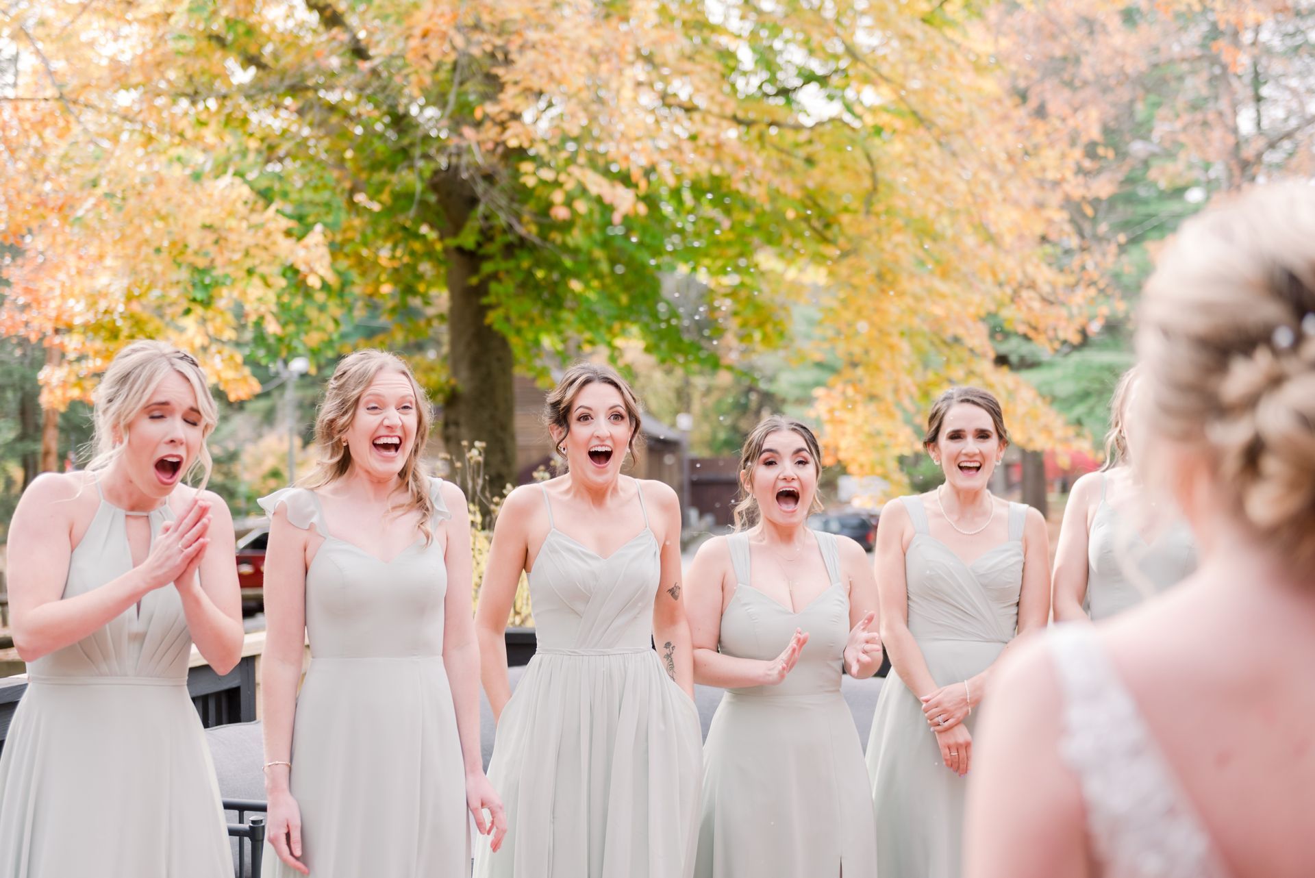 Bridesmaids in pale dresses react joyfully outdoors at a wedding, facing the bride in the foreground