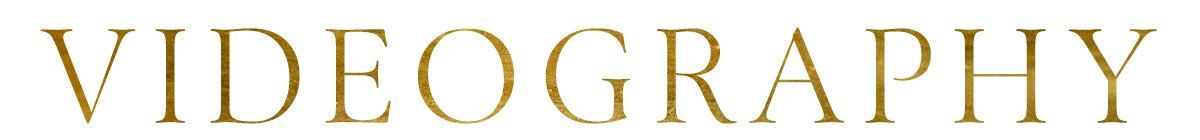 Gold “VIDEOGRAPHY” wordmark logo on a white background