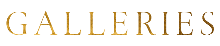 Gold serif word “GALLERIES” on a white background.