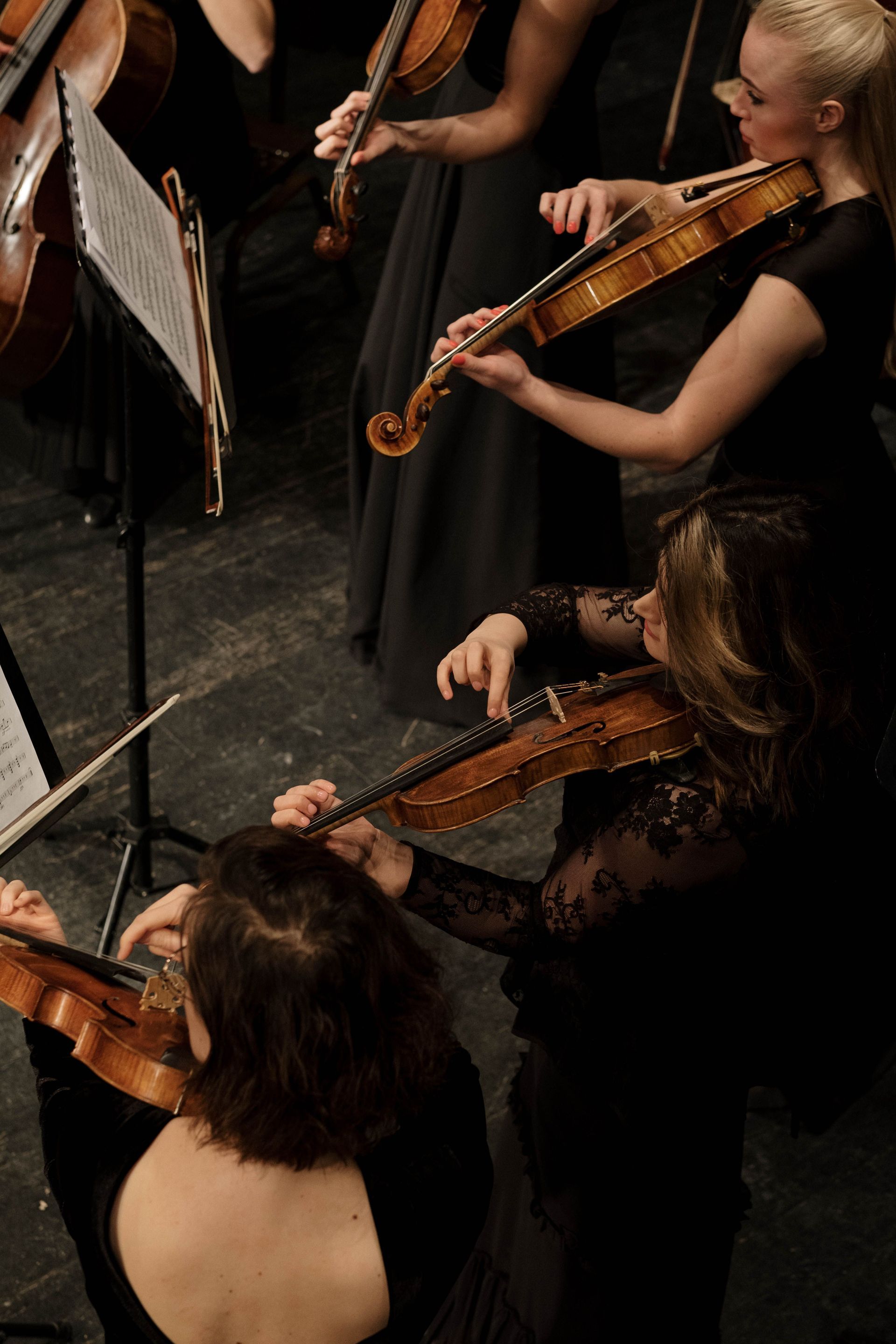Orchestra musicians playing string instruments in a dimly lit concert hall