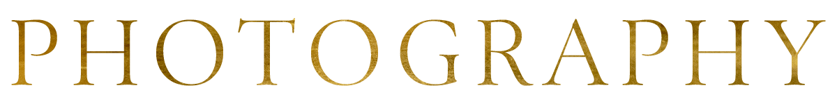 Gold “VIDEOGRAPHY” wordmark logo on a white background
