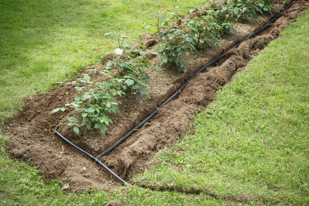 Garden Flower Bed — Gardeners in Sunshine Coast, QLD