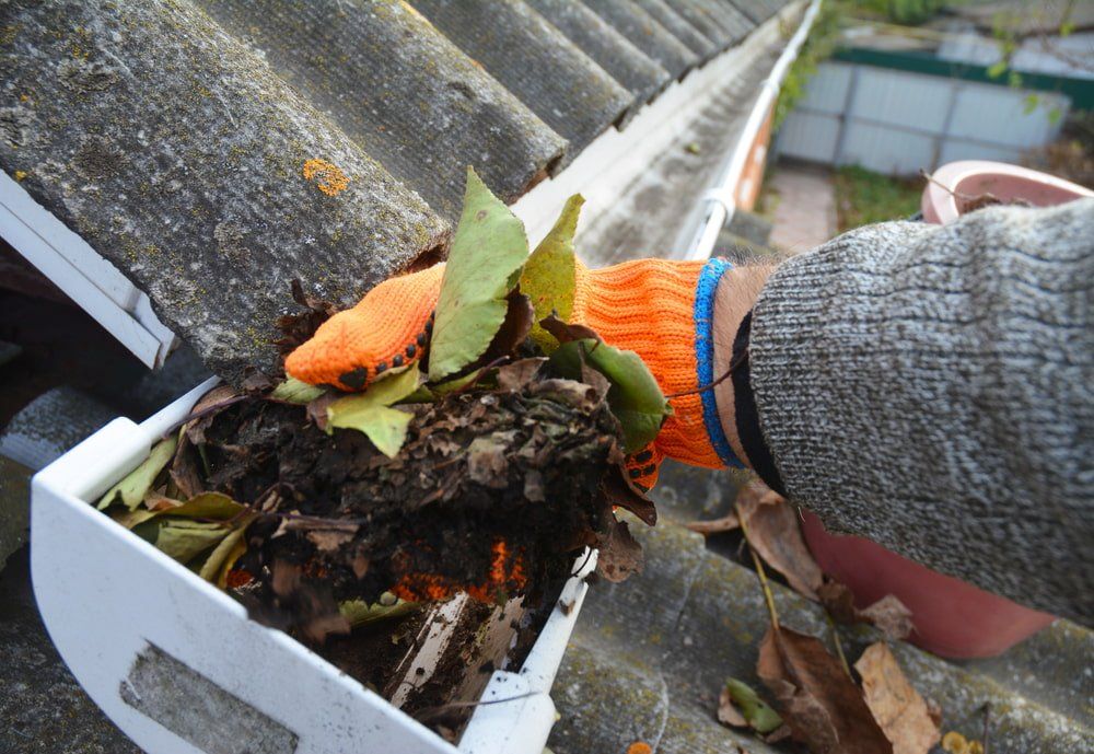 Man Removing The Debris And Leaves In Gutter — Gutter Cleaning in Sunshine Coast, QLD