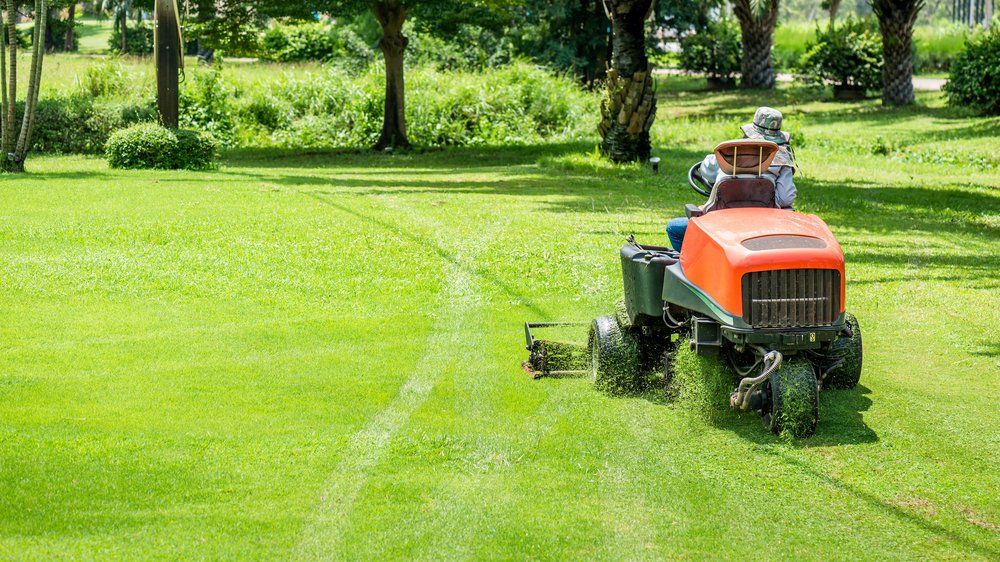 Commercial Lawn Mowing — Gardeners in Sunshine Coast, QLD
