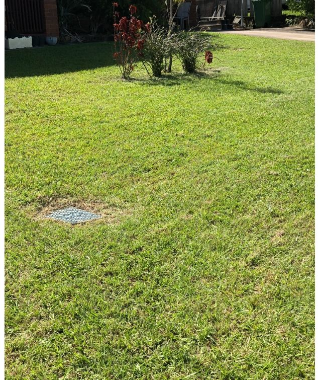 After Cleaning The Front Yard — Gardeners in Sunshine Coast, QLD