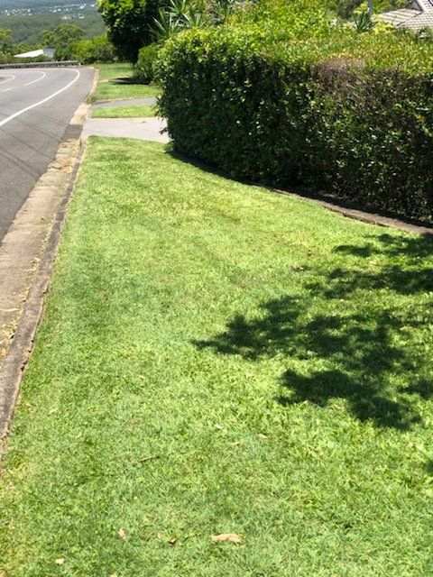 Finished Result Of Trimmed Green Grass — Cleaners in Sunshine Coast, QLD