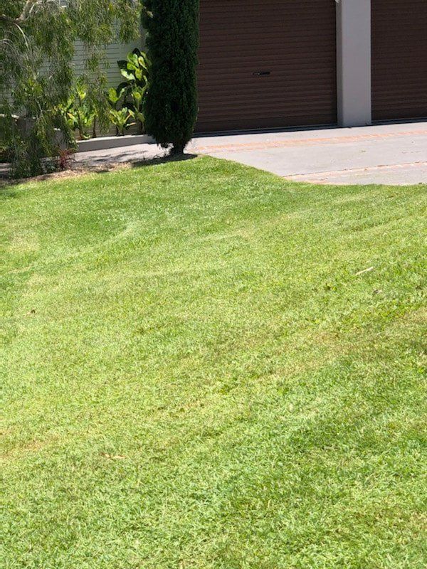 After Cleaning The Front Yard Of The Customer — Gardeners in Sunshine Coast, QLD