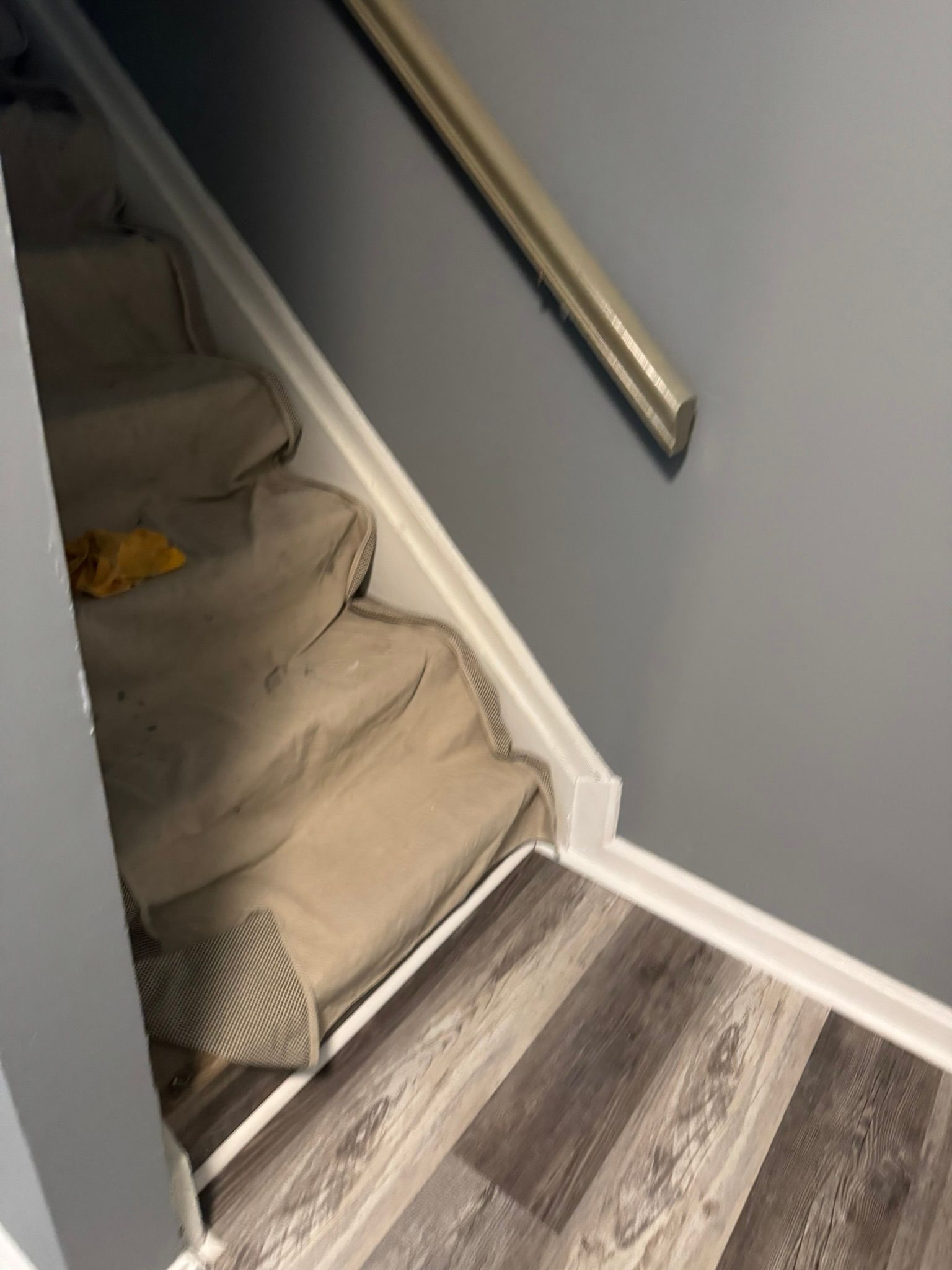 Carpeted staircase with a metal handrail and gray walls beside wood-patterned flooring.