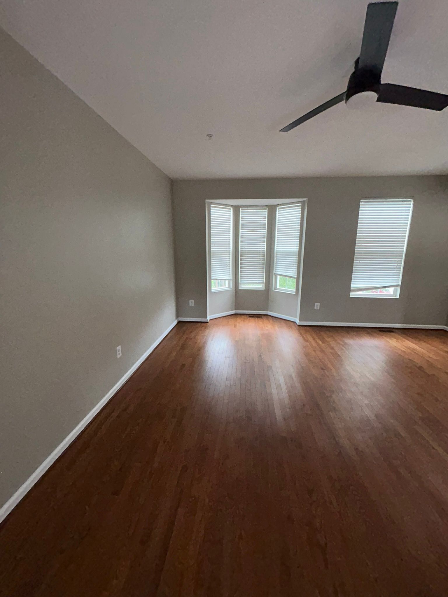 Empty living room with wood floors, gray walls, large windows, and a ceiling fan.