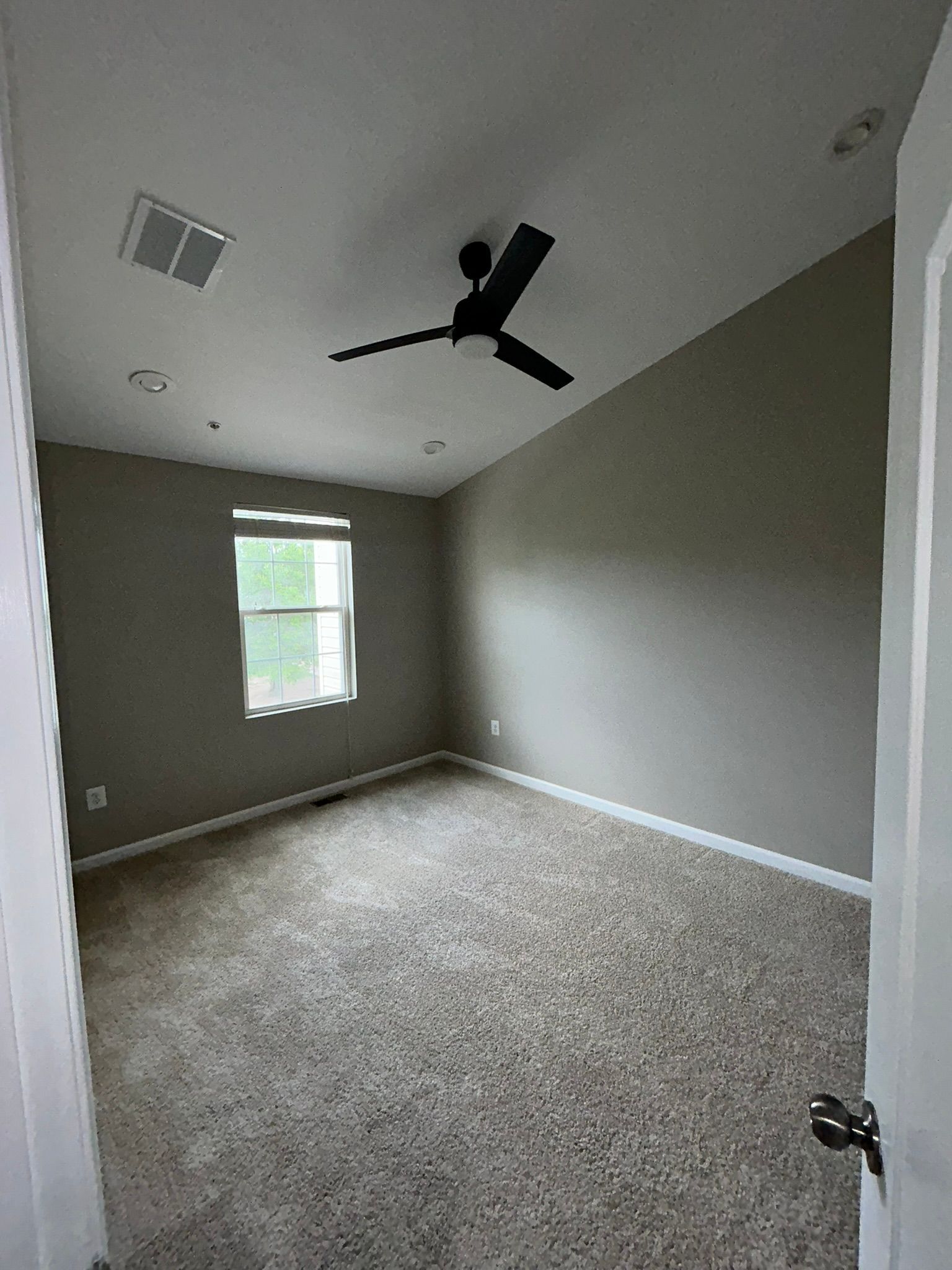 Empty carpeted bedroom with gray walls, a ceiling fan, and a small window.