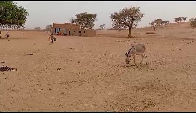 Video still
