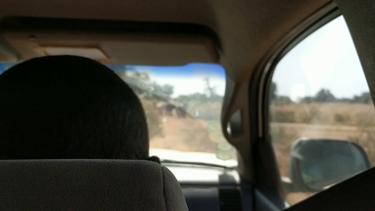Video still
