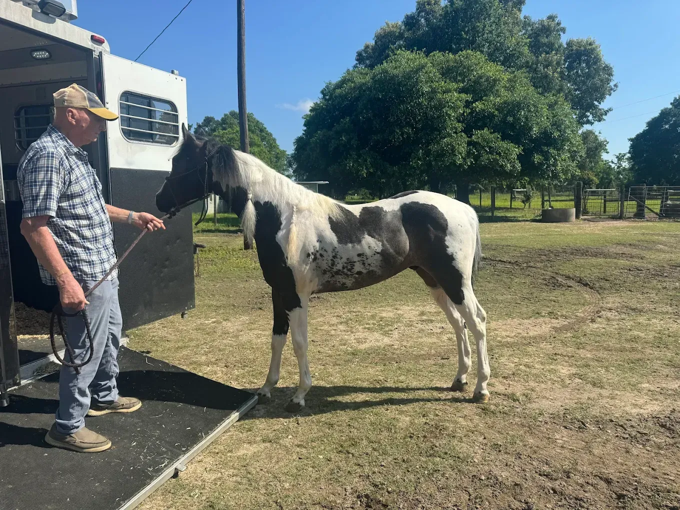 A man is standing next to a black and white horse in front of a trailer.