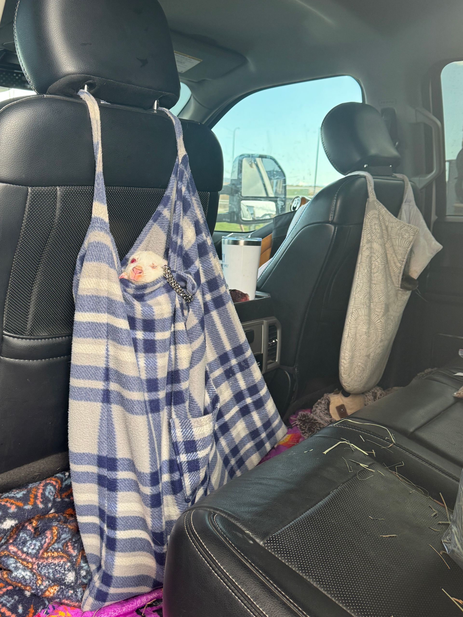 A blanket is hanging from the back seat of a car.