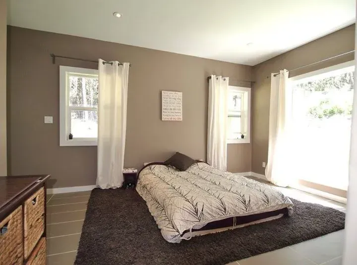 Bedroom with brown walls, white curtains, and a low bed on a dark rug near windows.
