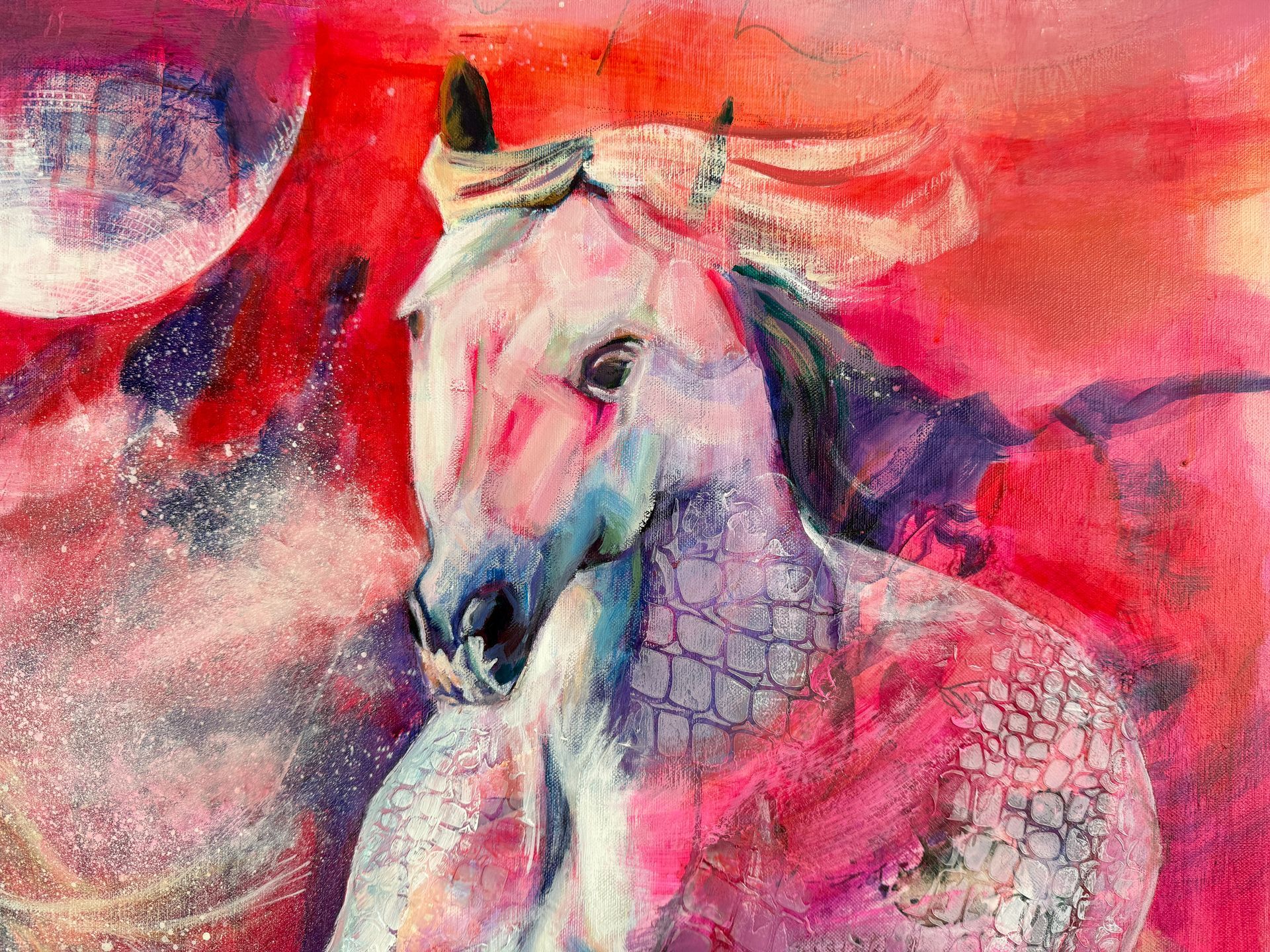 No Denying the Wild Horse