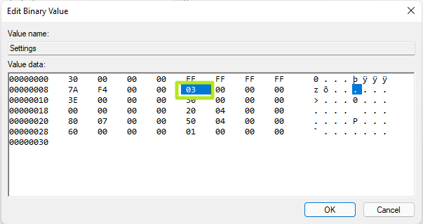 Windows 11 Binary Value