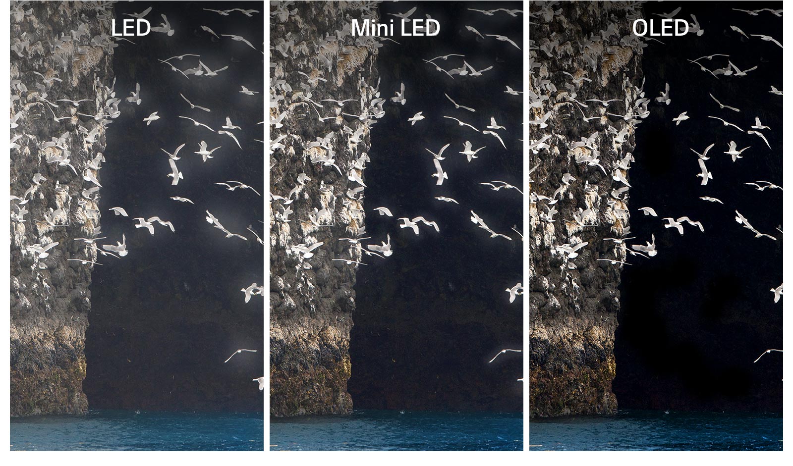 Led VS Mini Led VS Oled