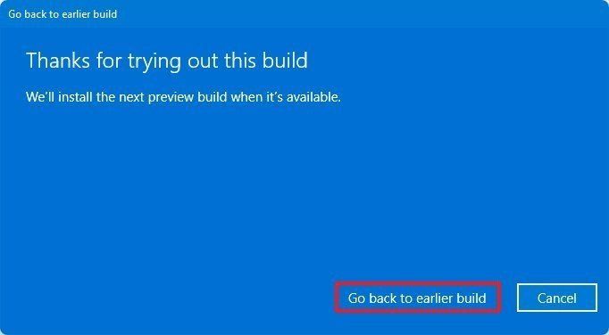 Thanks for trying out this build
