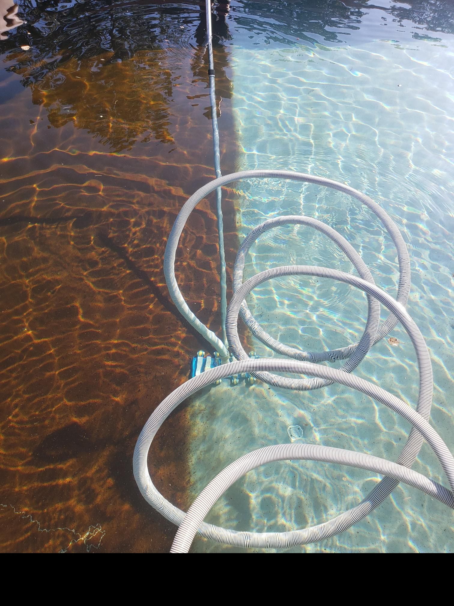 Pool Maintenance