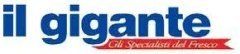 Logo - il gigante