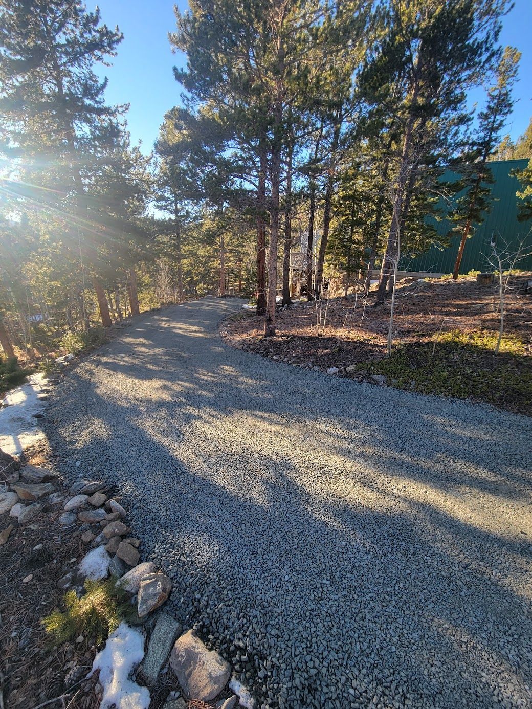 Gravel path curving through pine trees in bright sunlight, with rocks lining the edge.