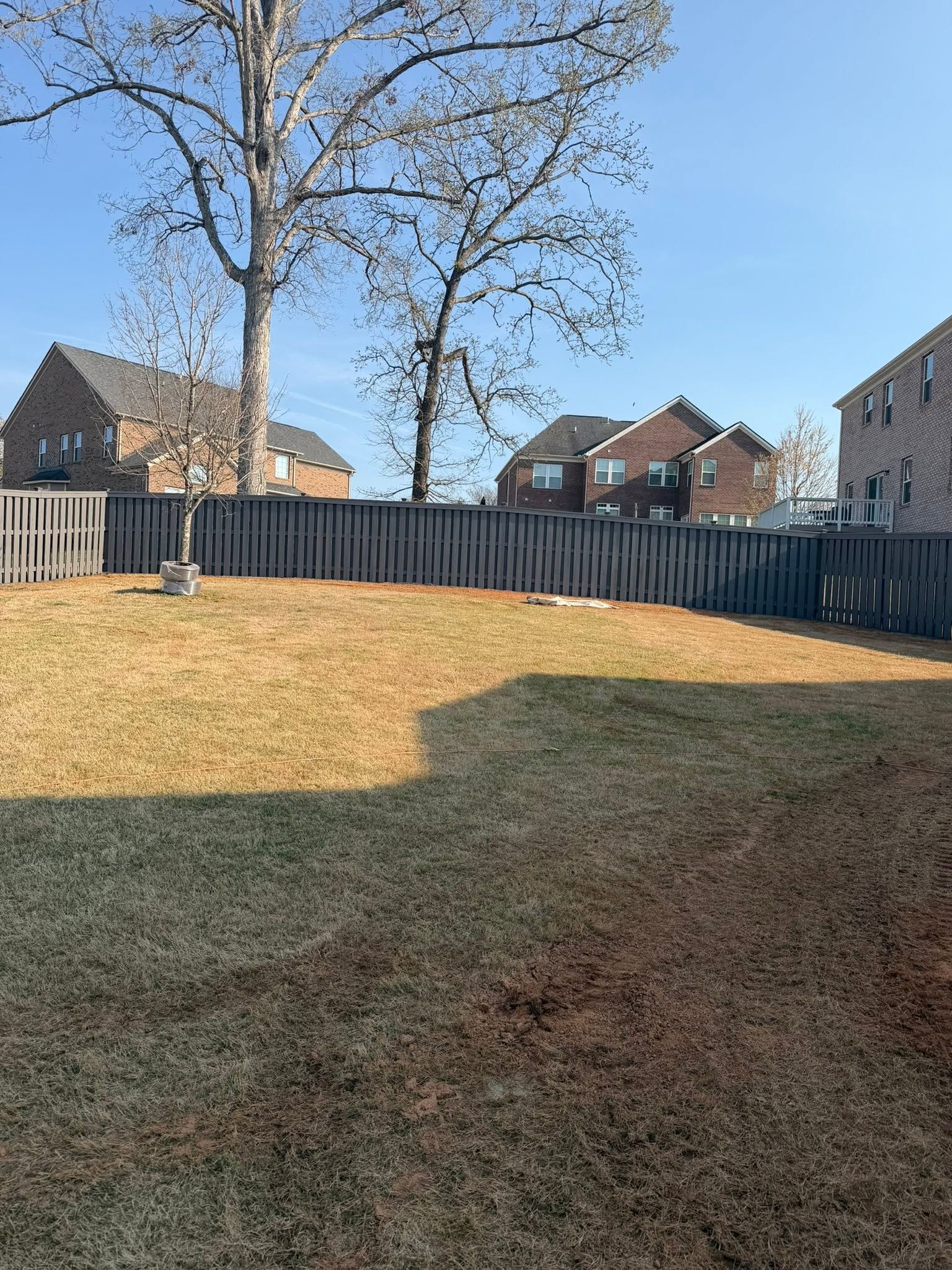 Grassy backyard with a wooden fence, leafless tree, and houses under a clear blue sky.