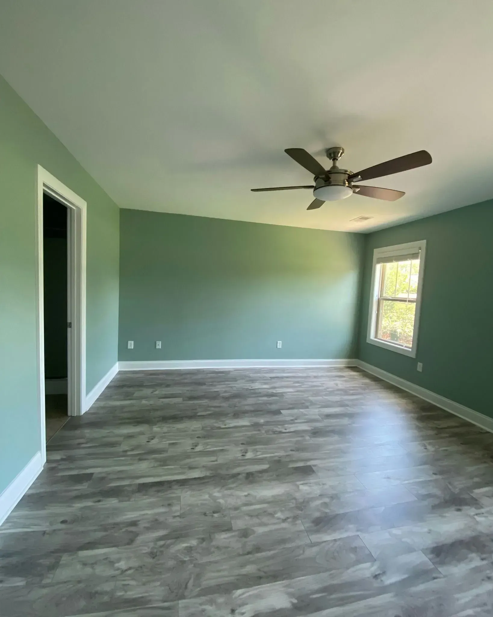 Empty room with green walls, gray wood-look floor, ceiling fan, and one window letting in daylight