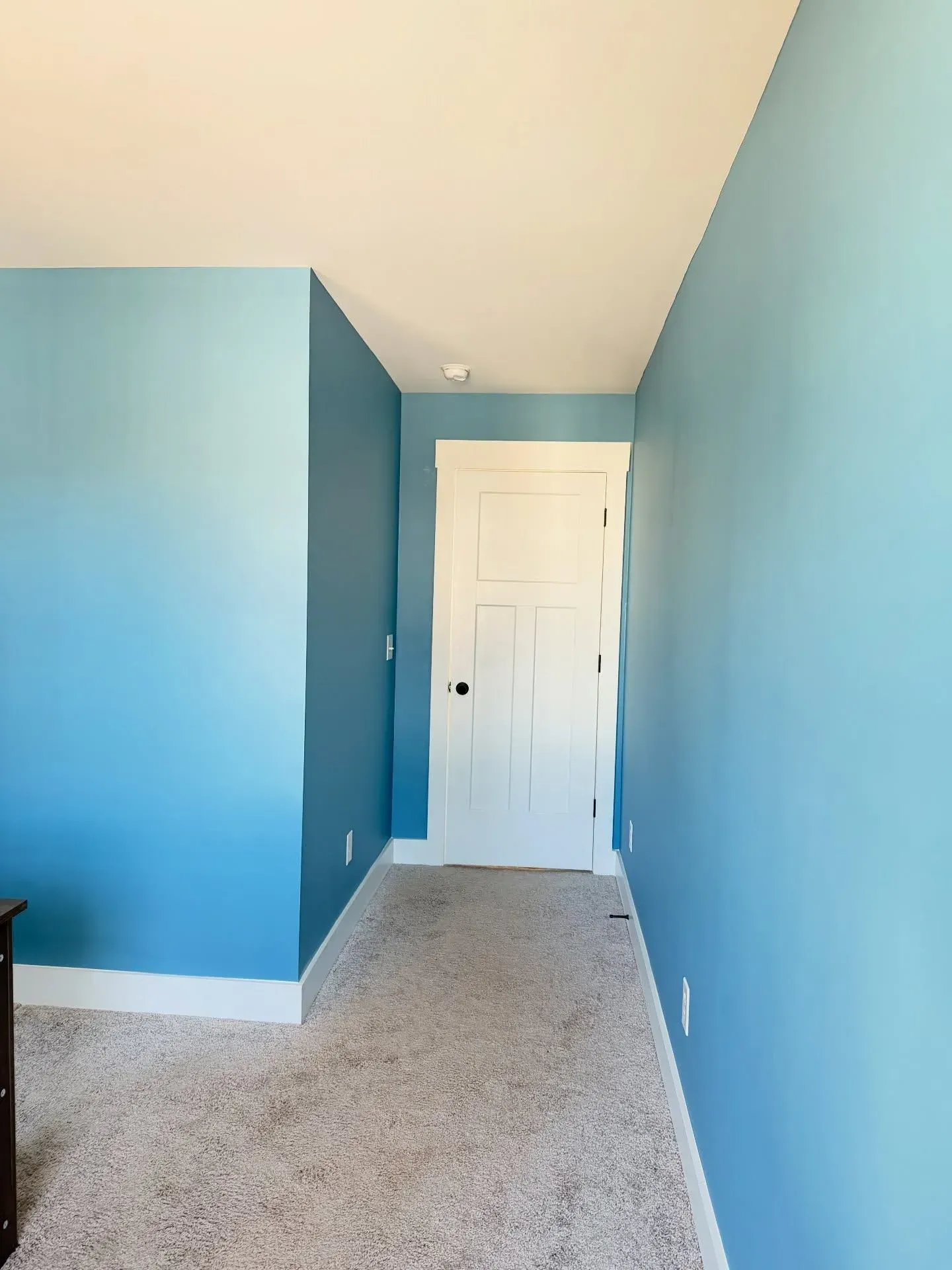 Narrow blue-painted hallway with white door at the end and beige carpet.