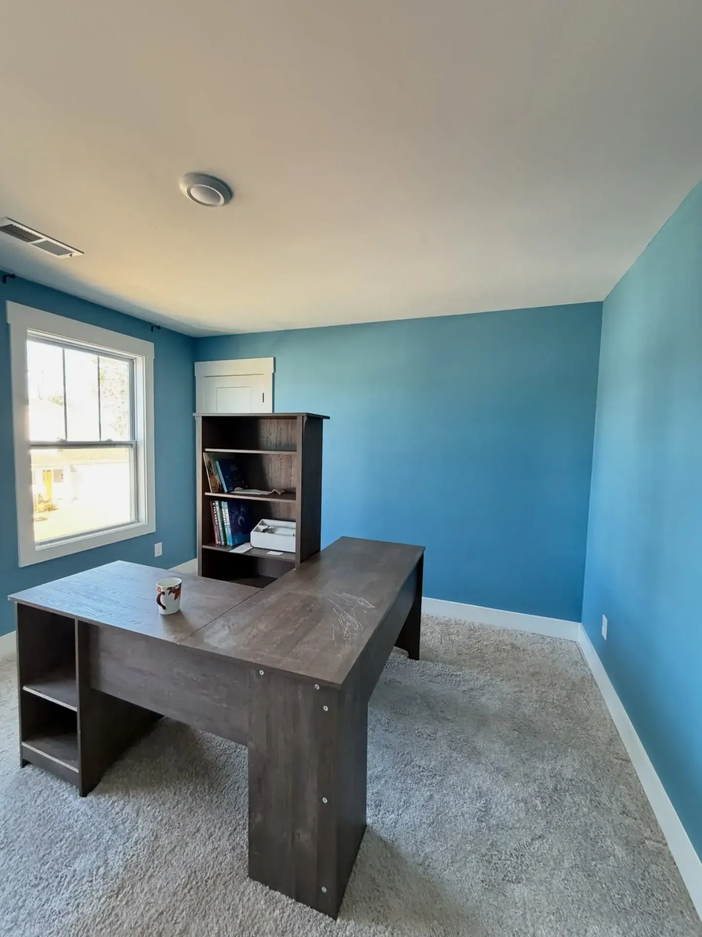 Small blue room with a desk, carpeted floor, window, and bookshelf.